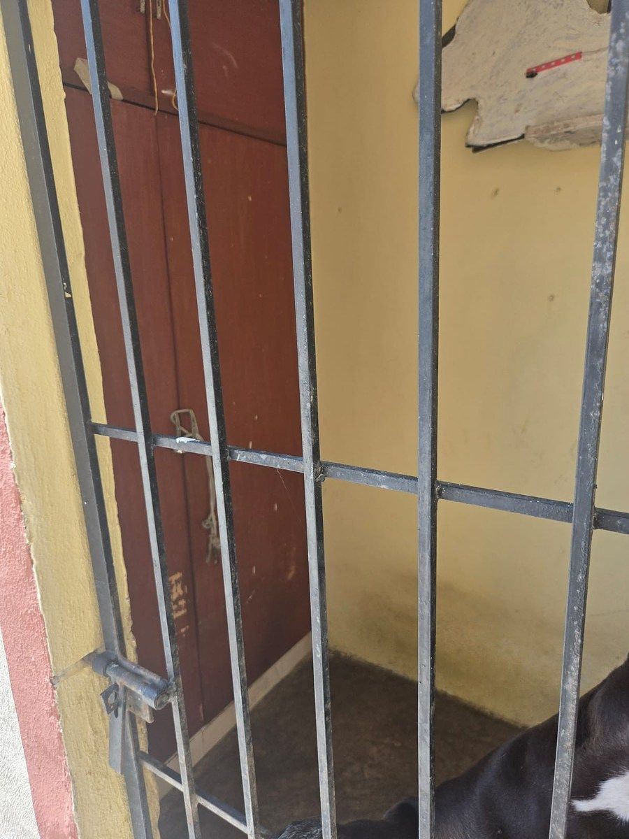 19 de 19