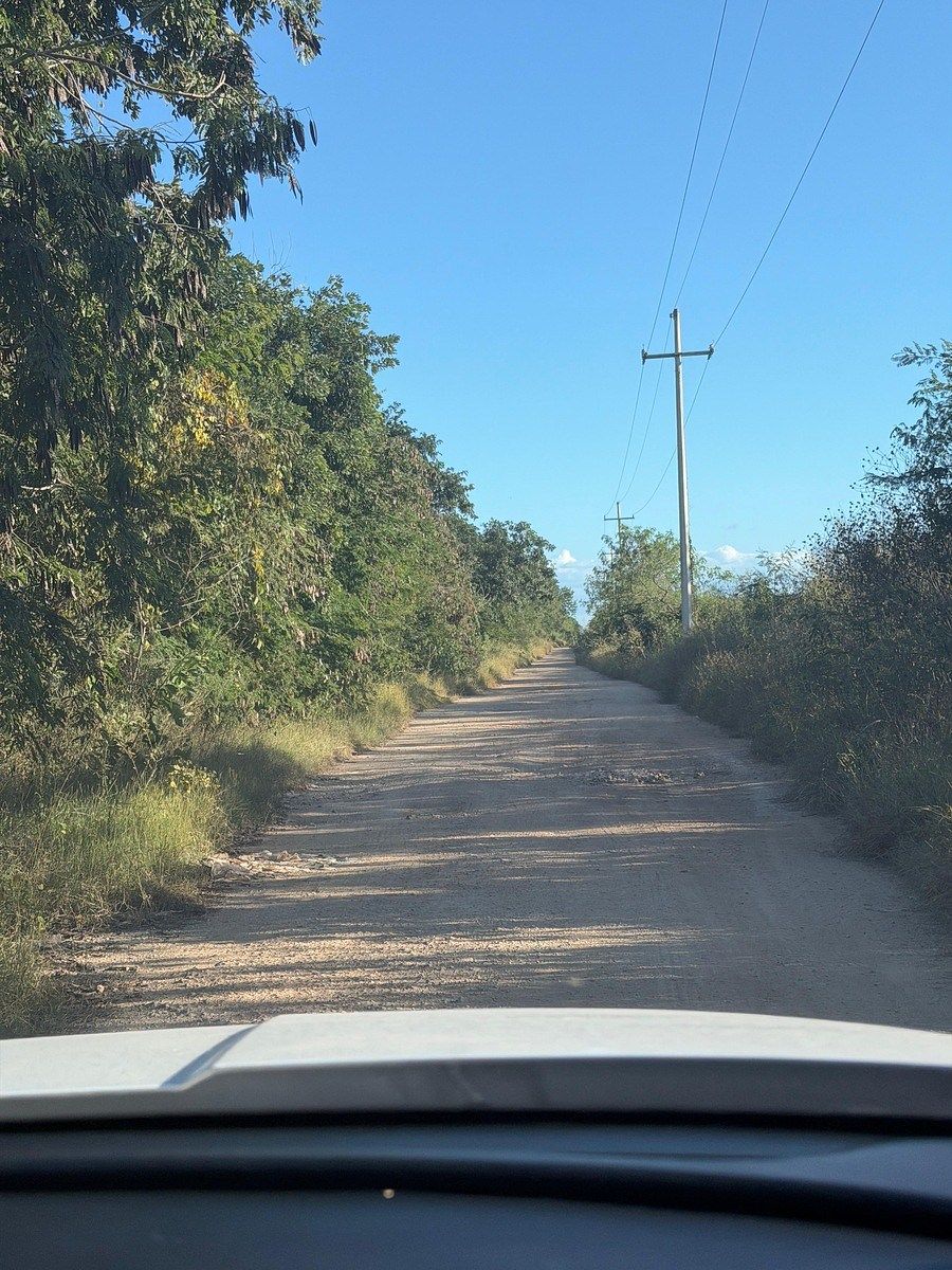 5 de 7