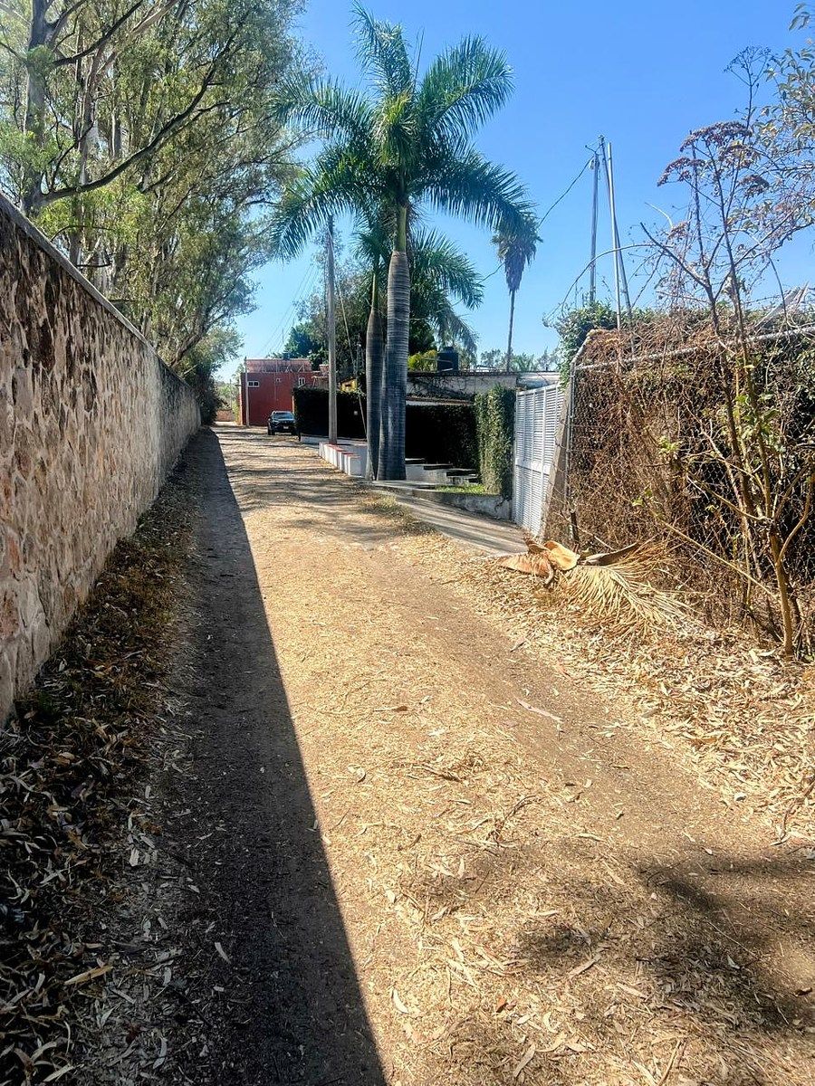 11 de 23