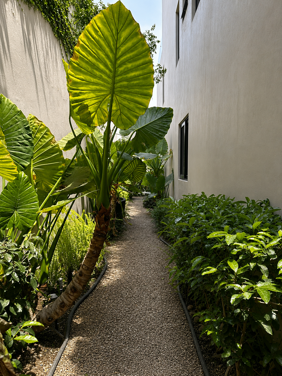 21 of 32
