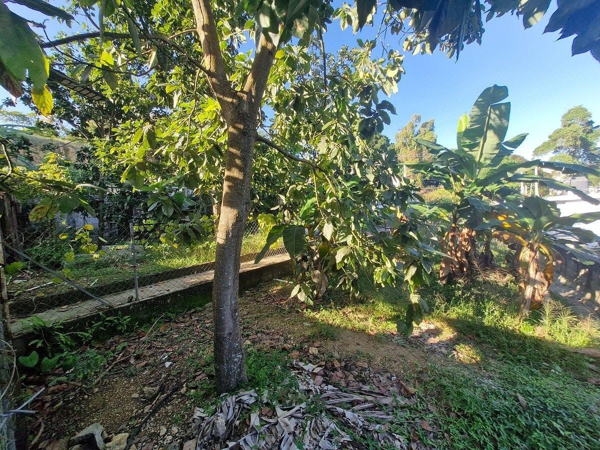 Casa en Nagua, foto 11 de 22