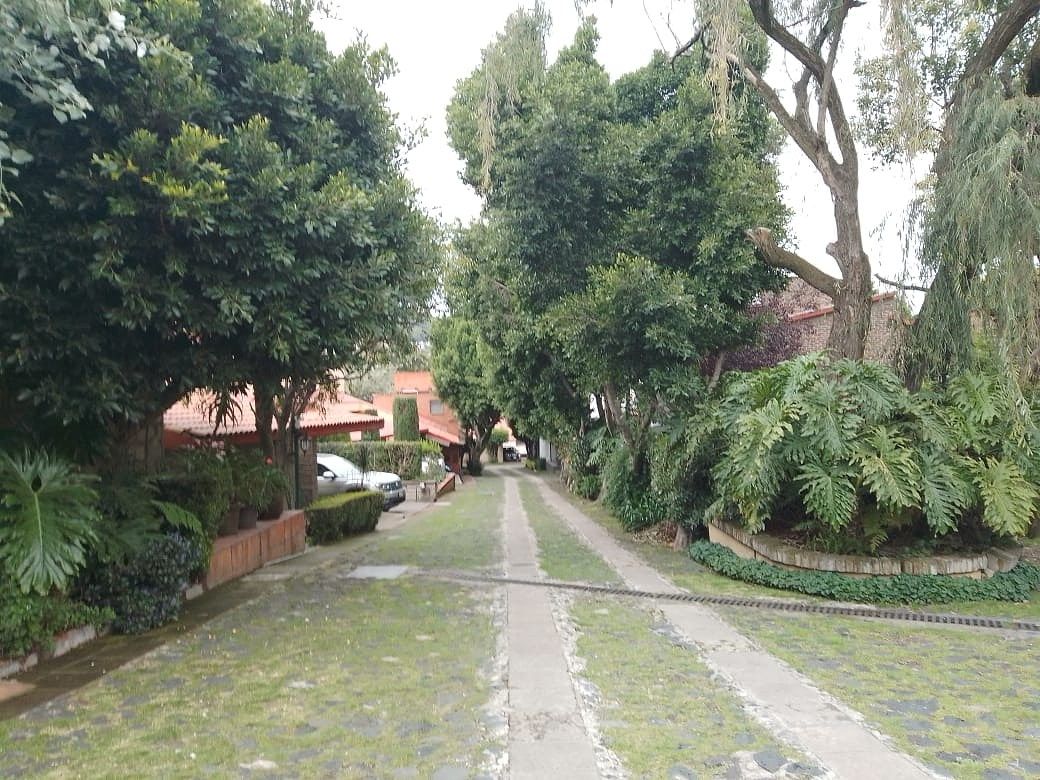 6 de 40
