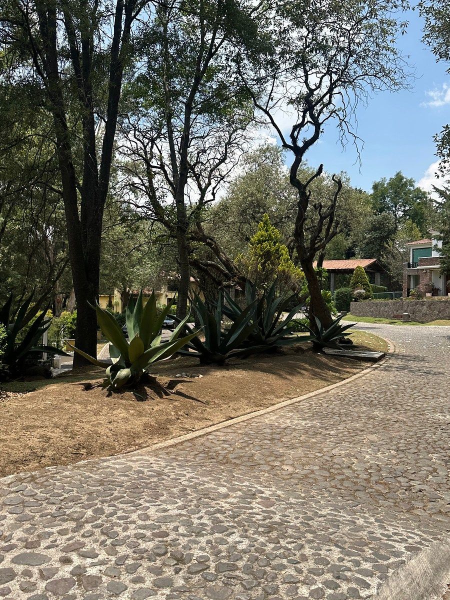 6 de 13