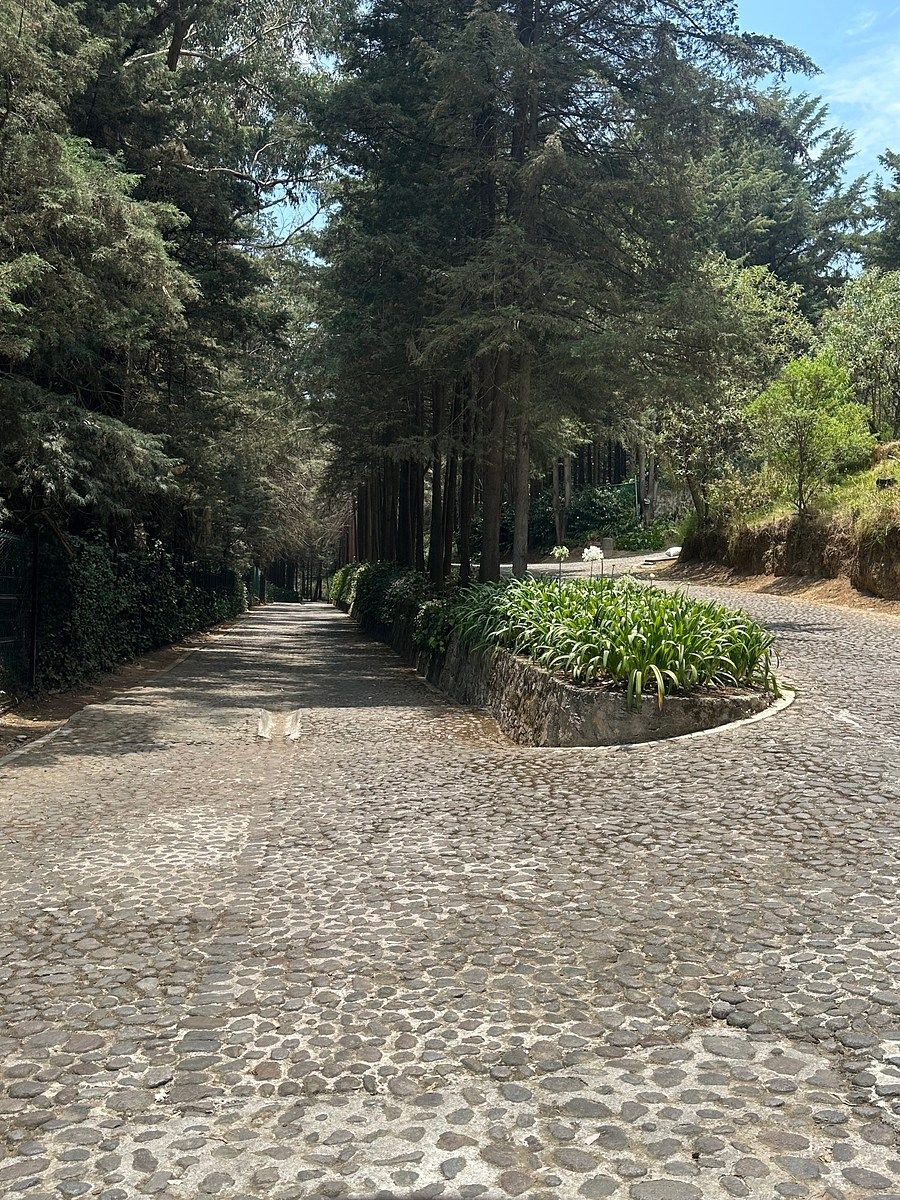9 de 13