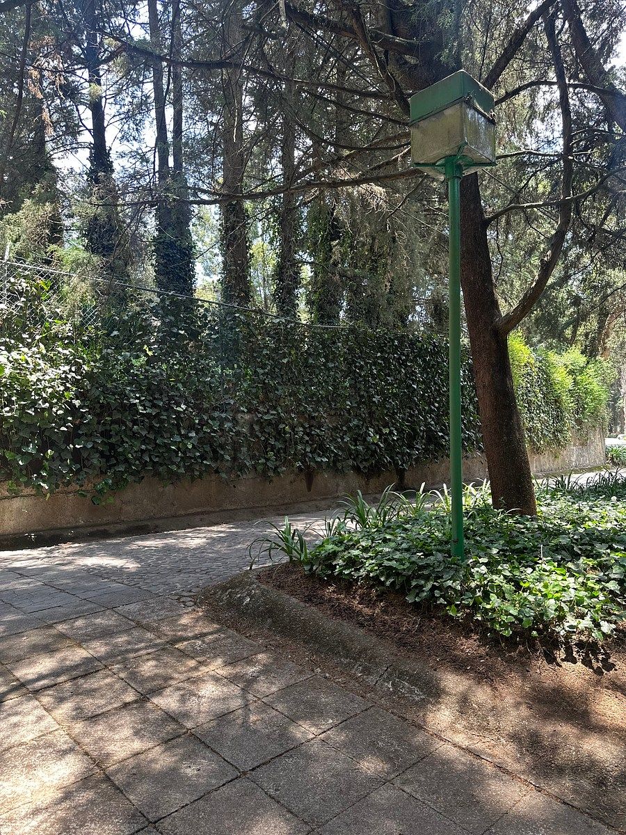 11 de 13