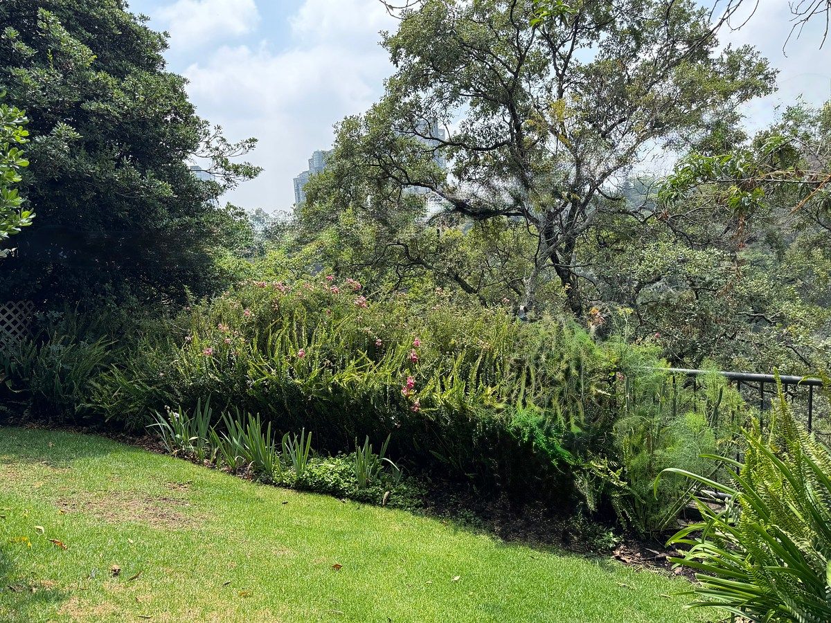 Casa em condomínio fechado em Lomas de Vista Hermosa, Cuajimalpa de Morelos, foto 21 de 24