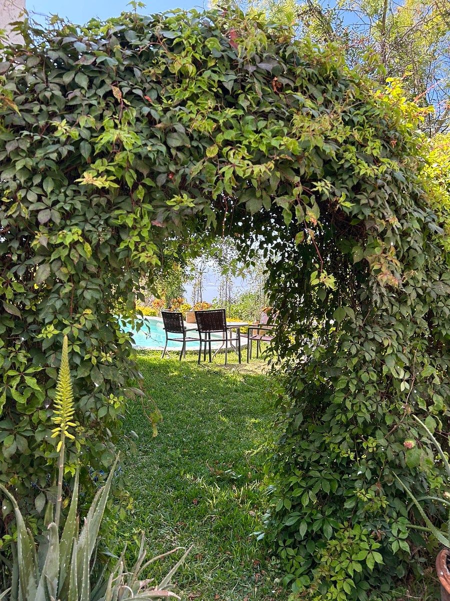 9 de 13: Jardín