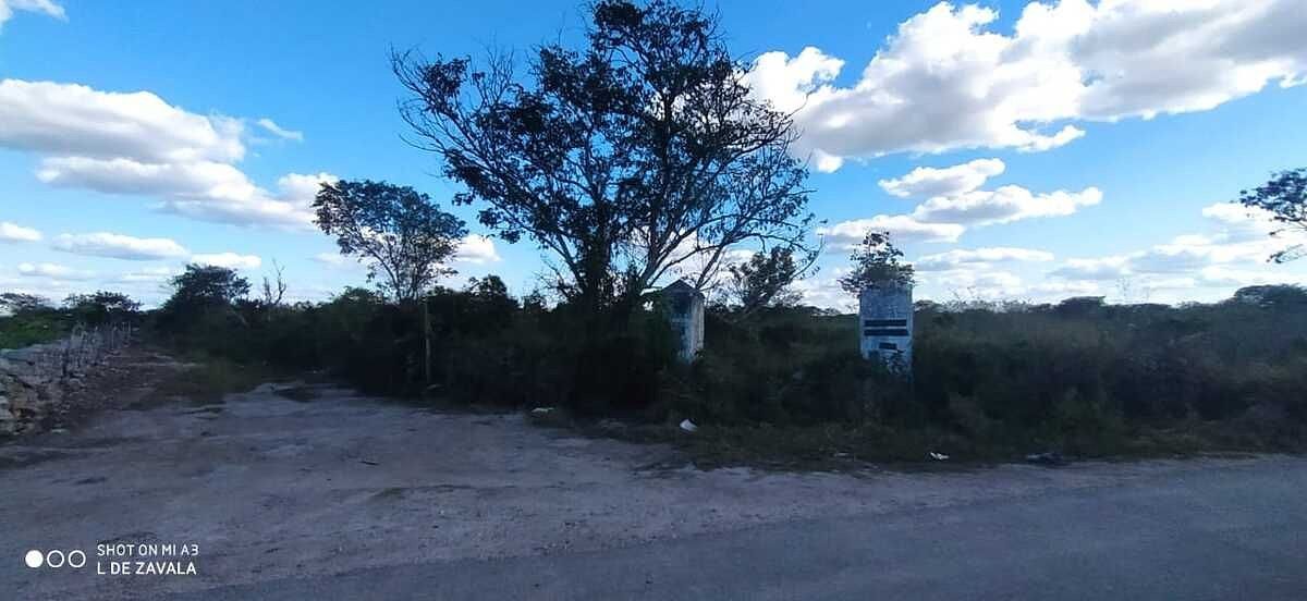 12 de 32