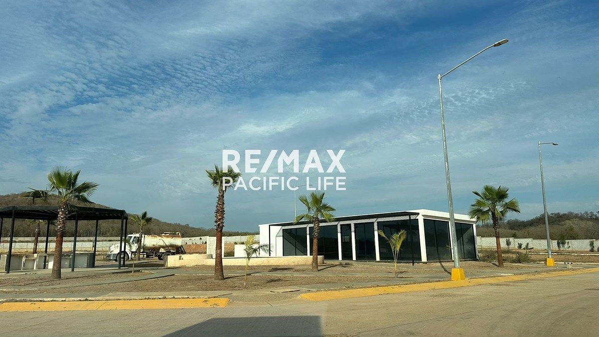 6 de 12