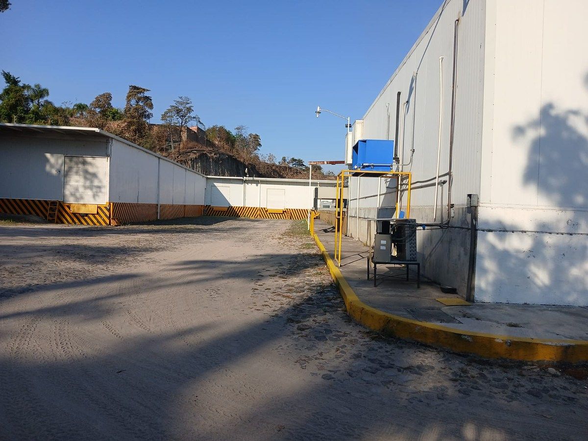 Prédio industrial em Los Maestros, Tala, foto 2 de 16