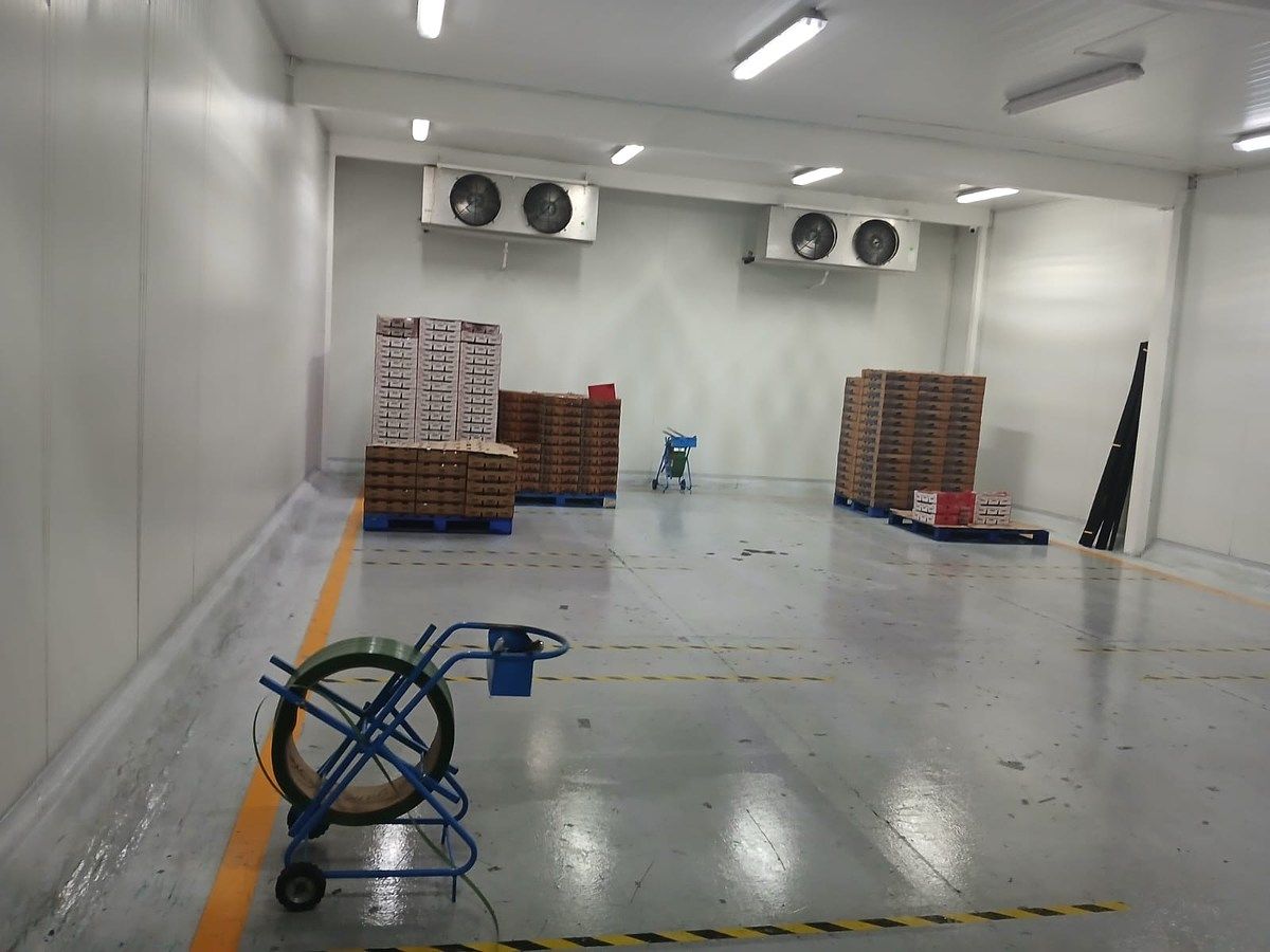 Prédio industrial em Los Maestros, Tala, foto 7 de 16