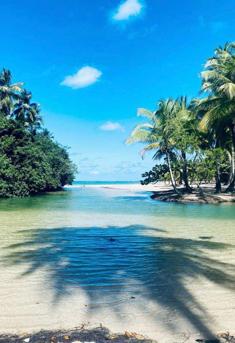 Apartamento en Playa Las Ballenas, Las Terrenas, foto 22 de 22