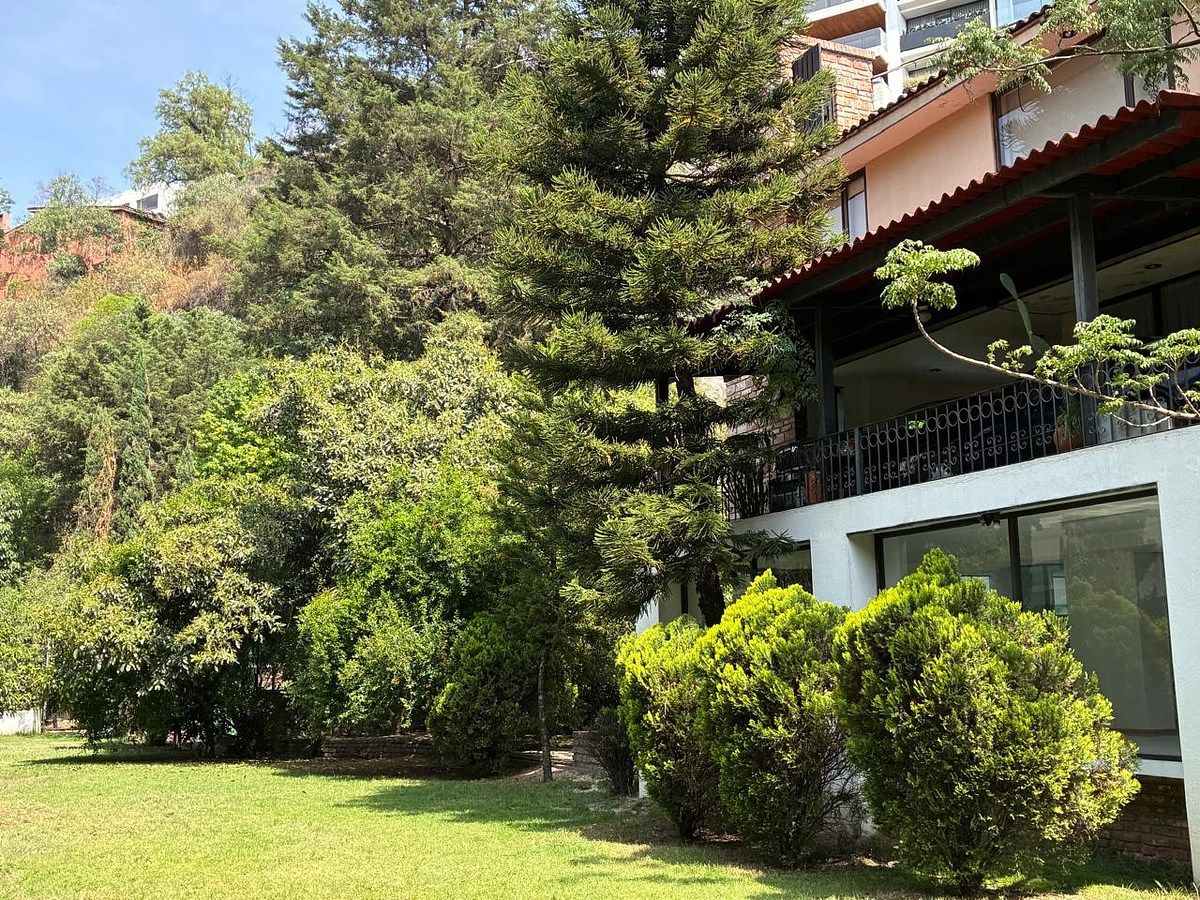 jardin, foto 1 de 24