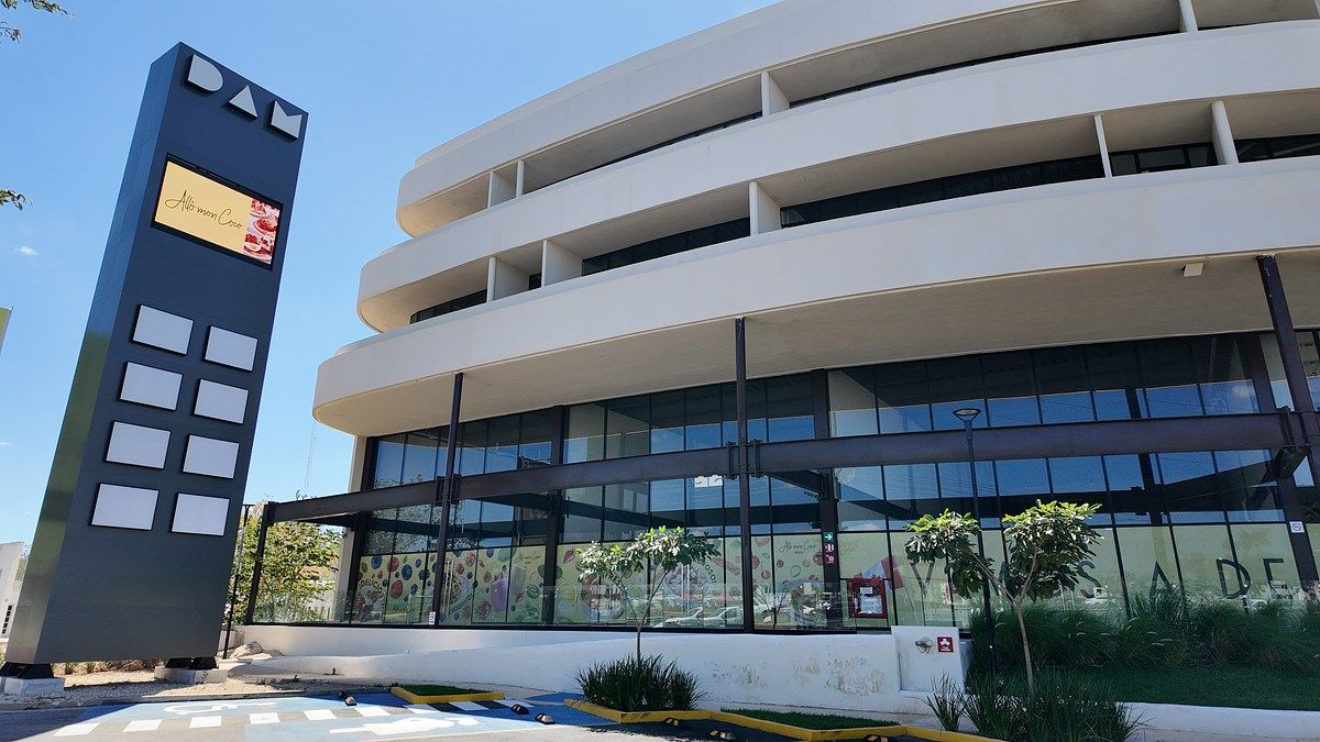 11 de 16