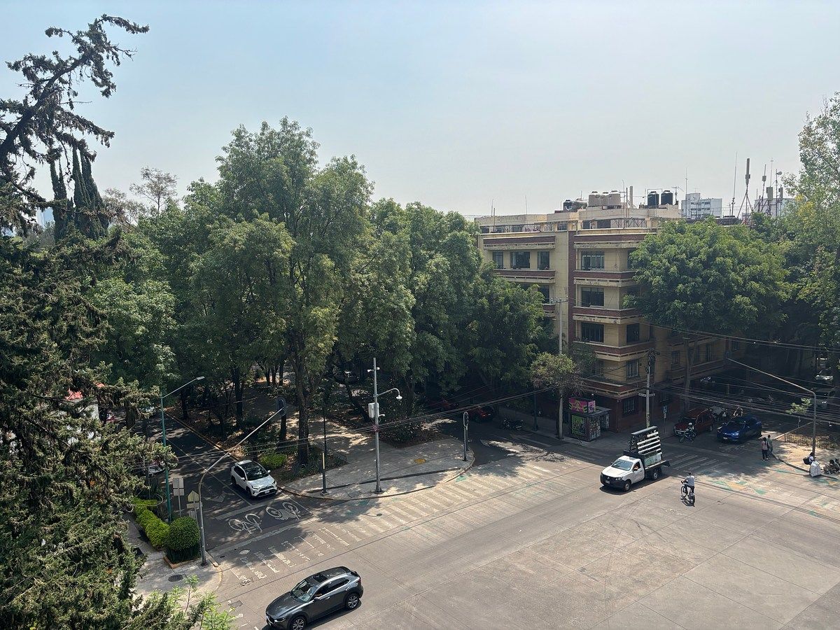 39 de 50