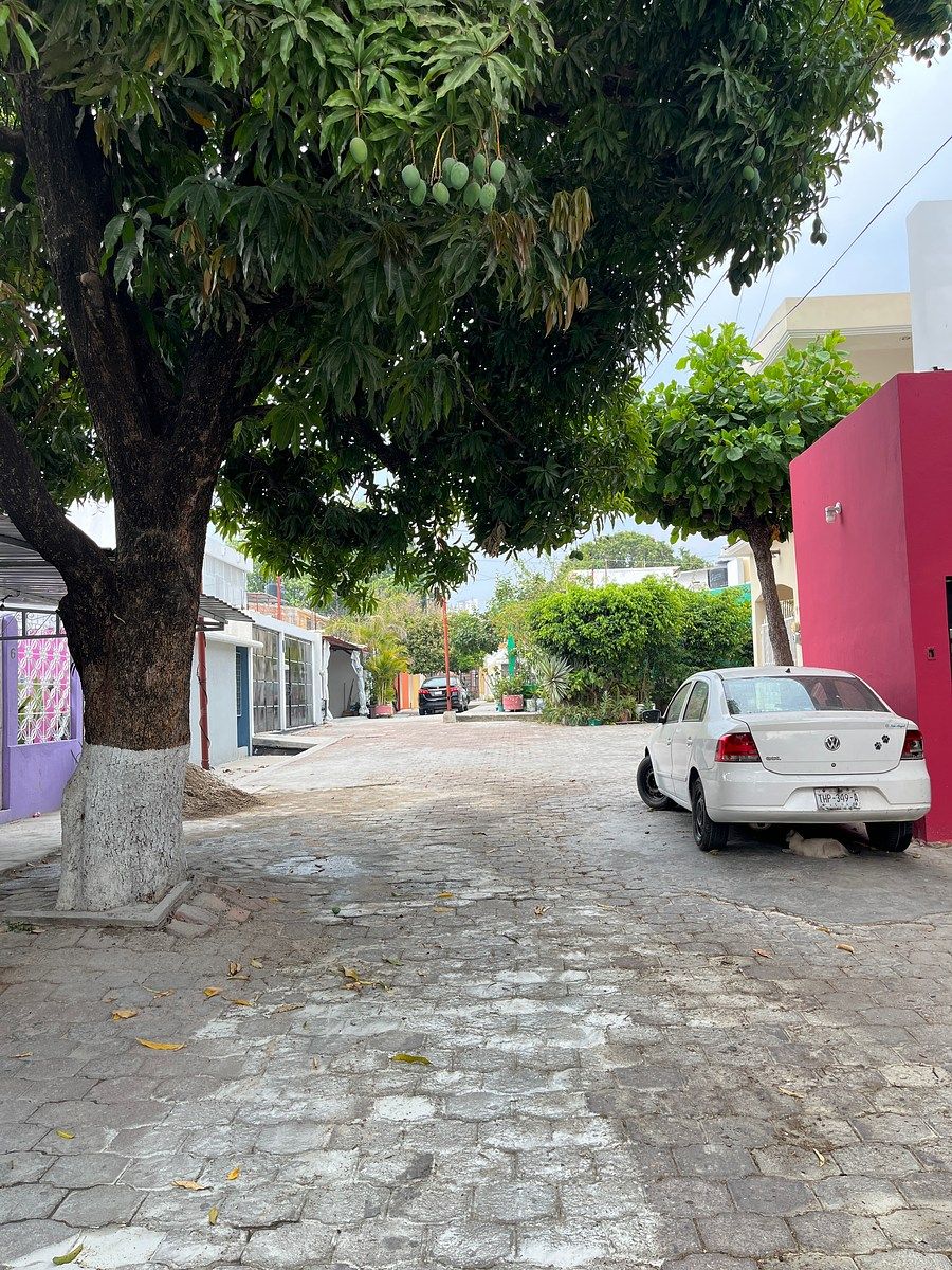 12 de 19