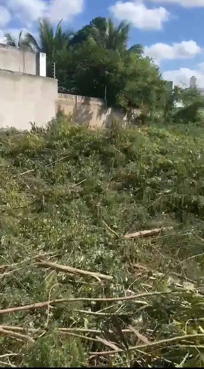 2 de 2