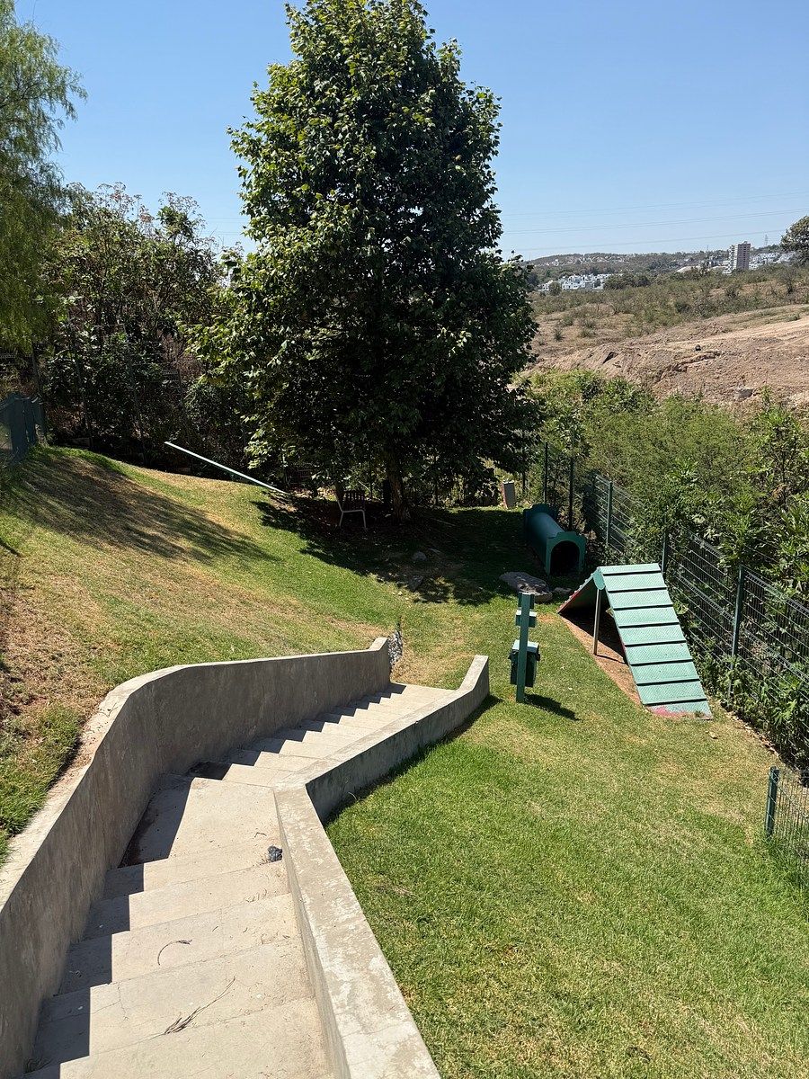 27 de 28
