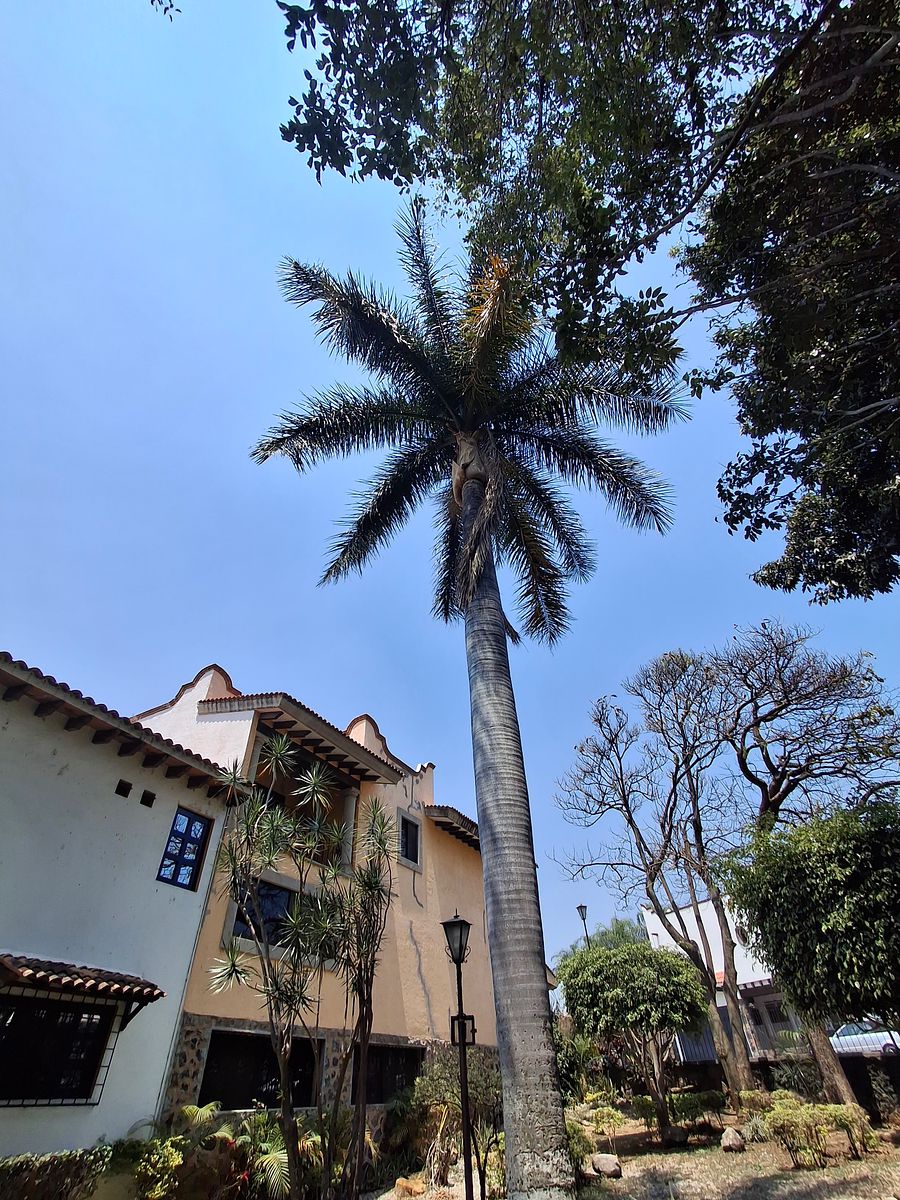 33 de 33