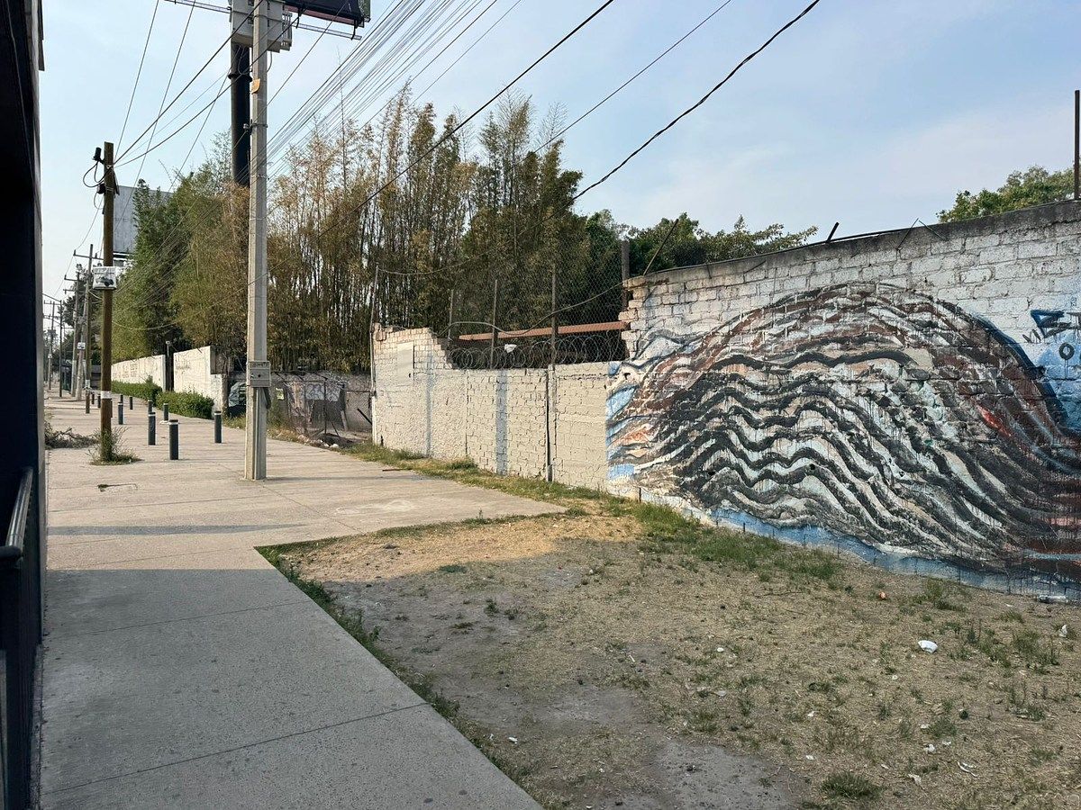 8 de 11