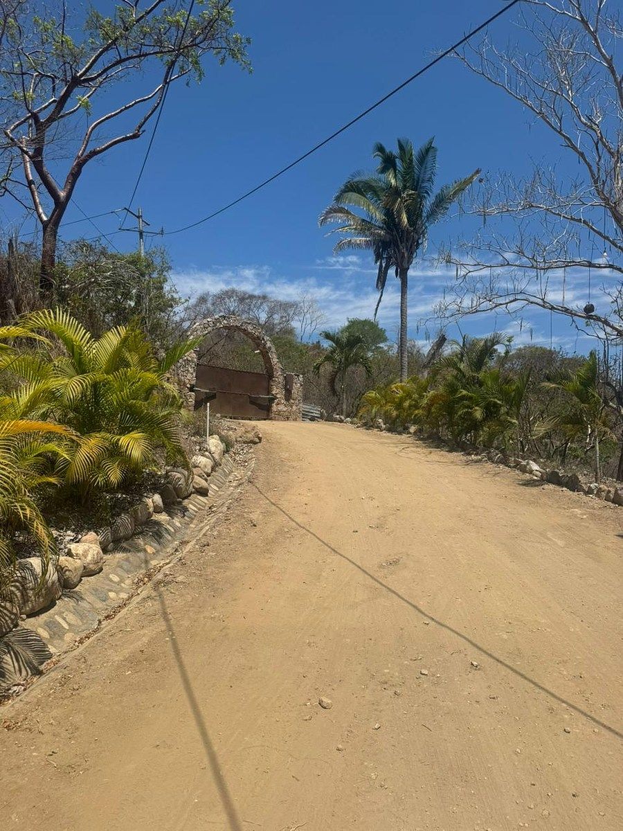 5 de 11