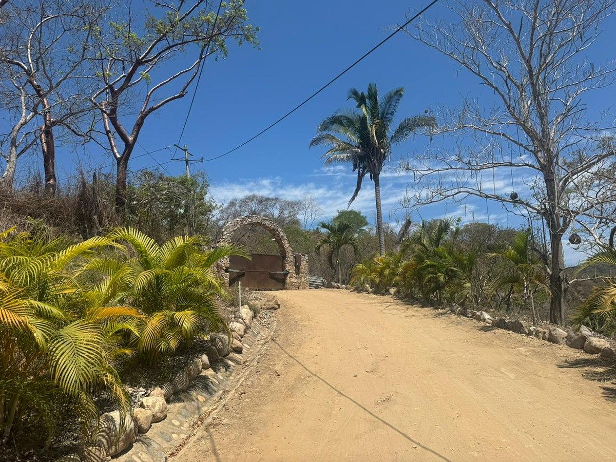6 de 11