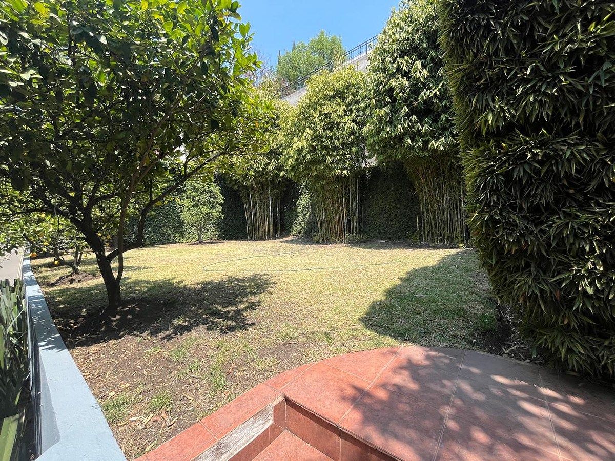 15 de 50