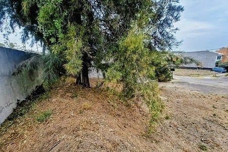 TERRENO EN VENTA EN GUADALAJARA BOSQUES DE SANTA ANITA - foto 5