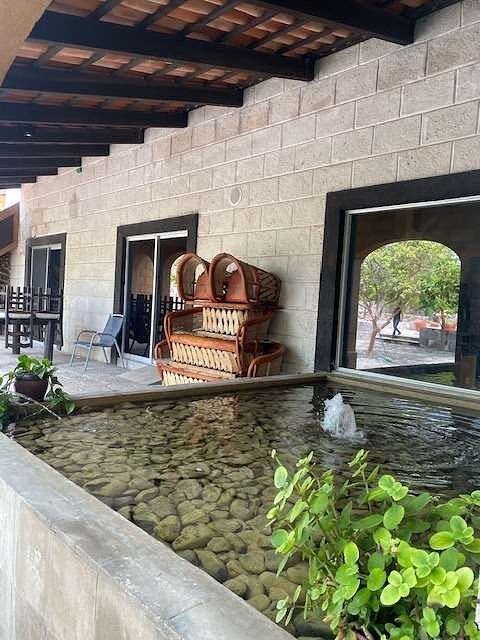 6 de 29