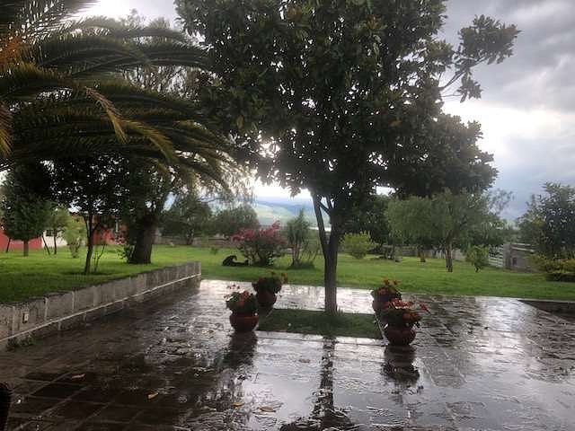 10 de 29