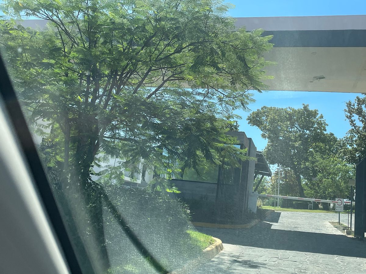 6 de 26