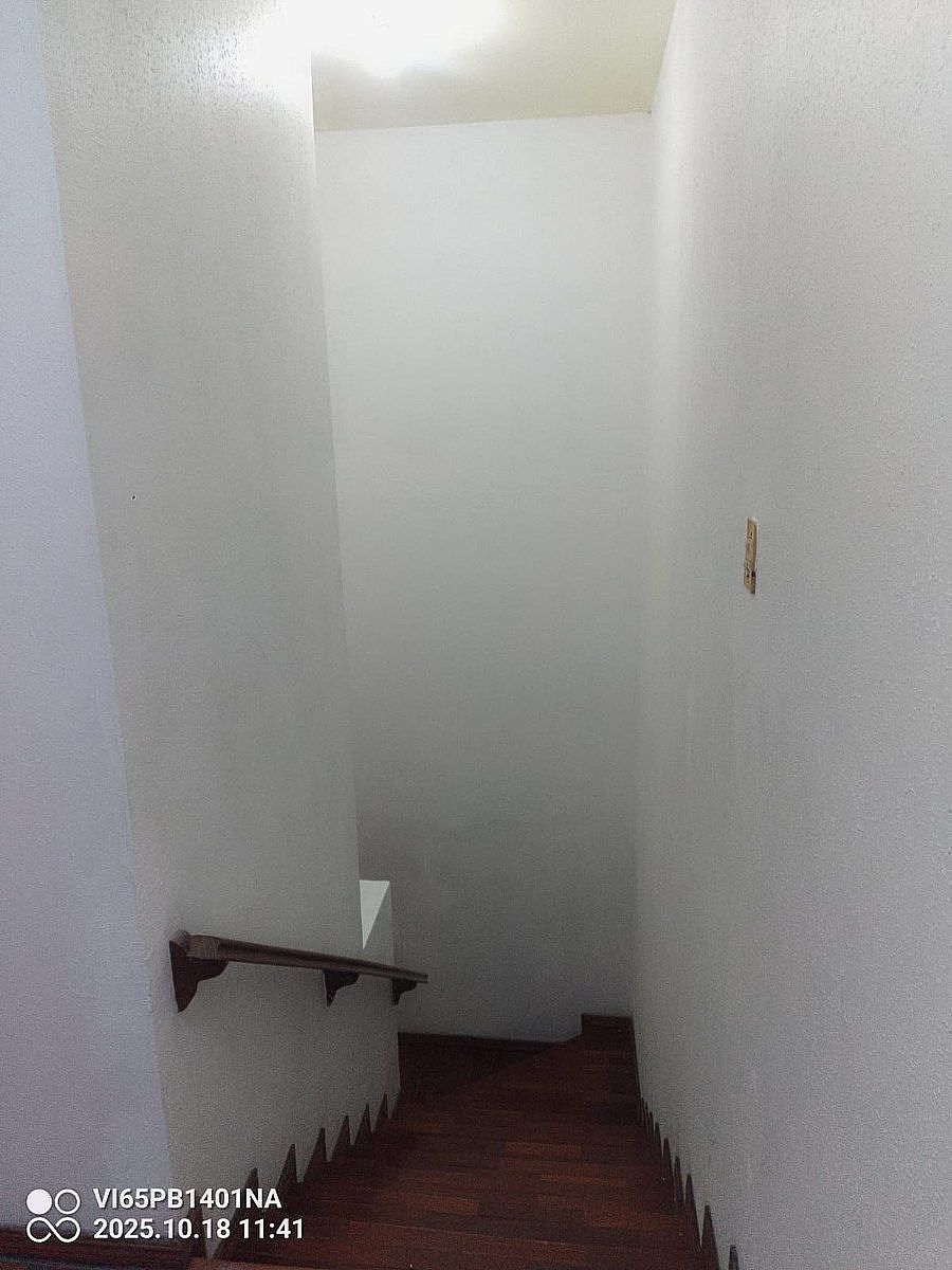 6 de 17