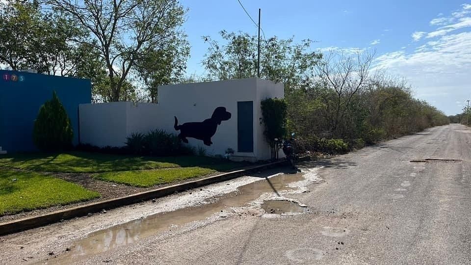 3 de 8