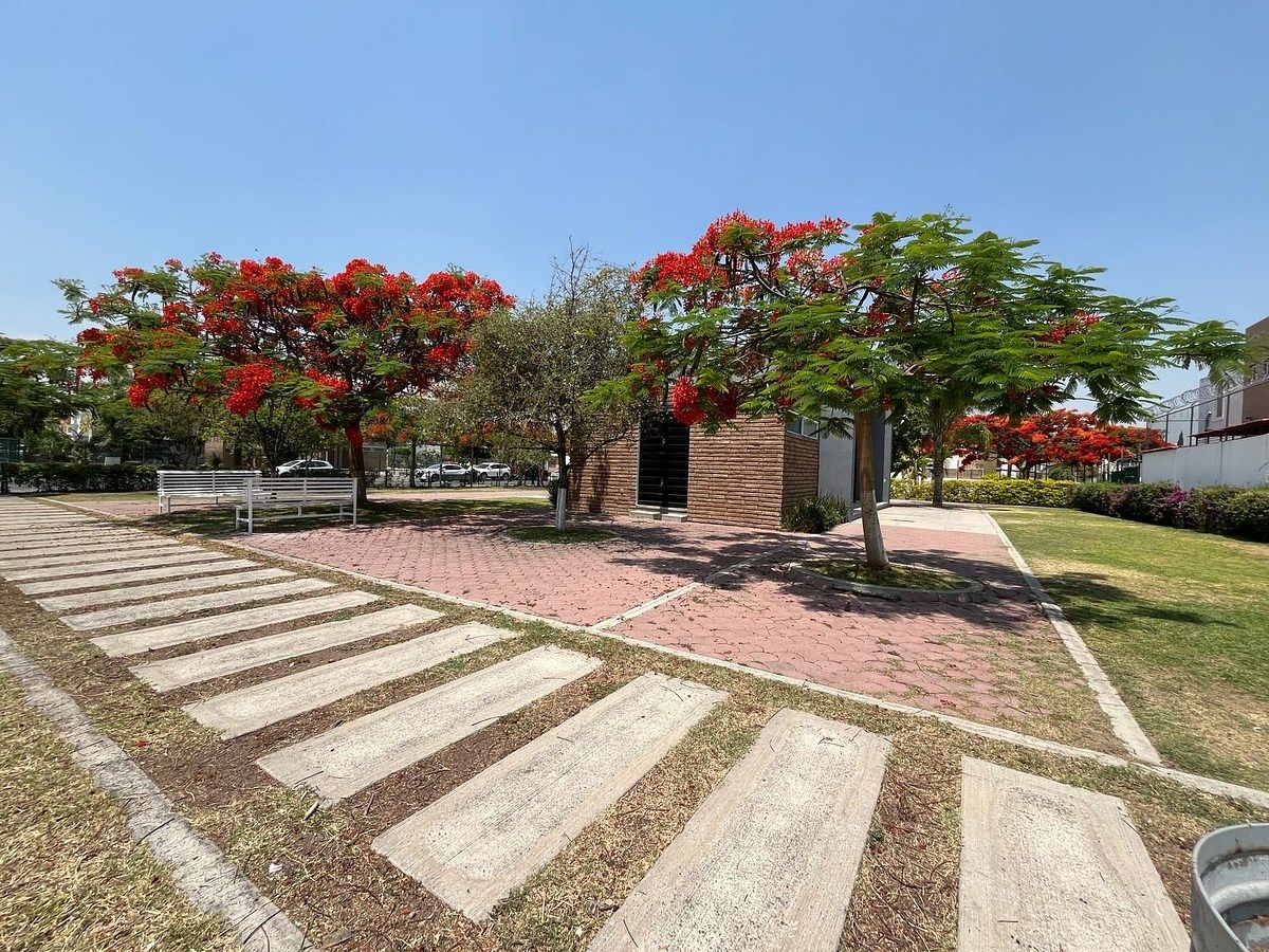 House in Parques del Palmar, Tlaquepaque, photo 42 of 43
