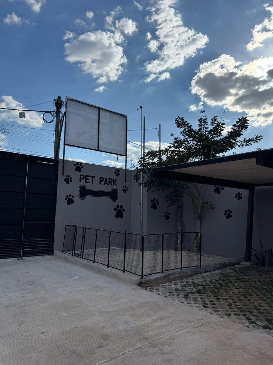 13 de 19
