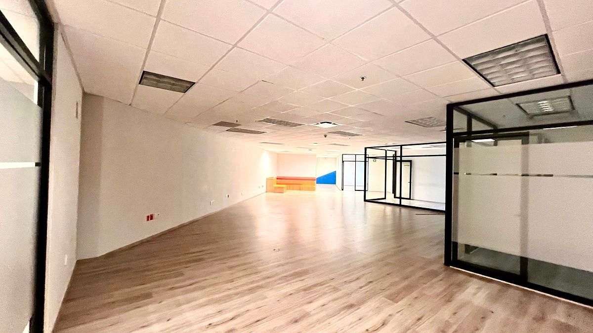 6 de 12