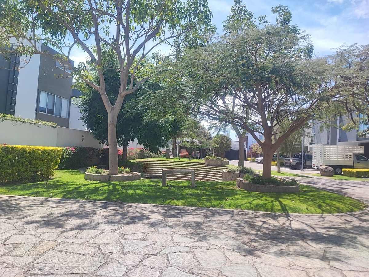 29 de 29