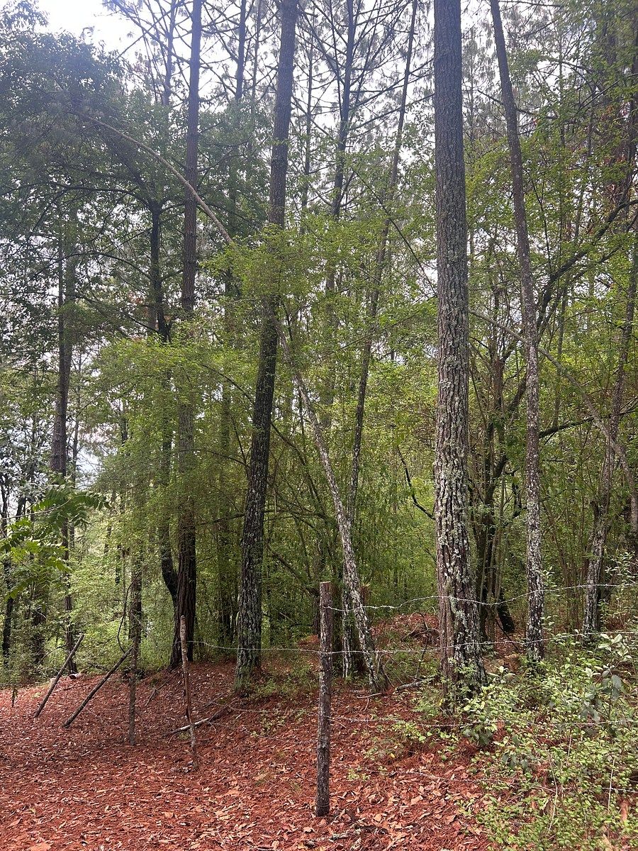 Terreno en Corral de Piedra, San Cristóbal de Las Casas, foto 16 de 19