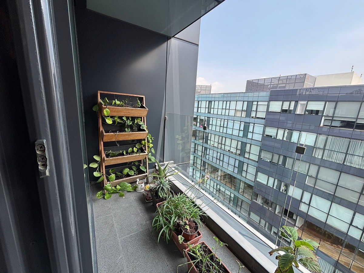12 de 23: Terraza interior