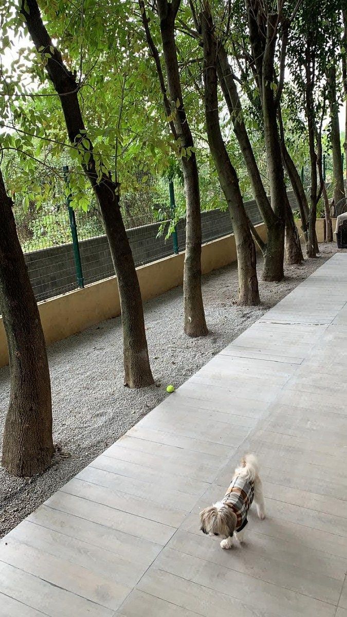 Apartamento em Olivar de los Padres, Álvaro Obregón, foto 6 de 15