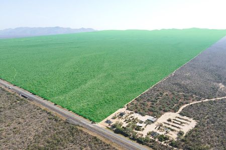 1,686 HECTARES