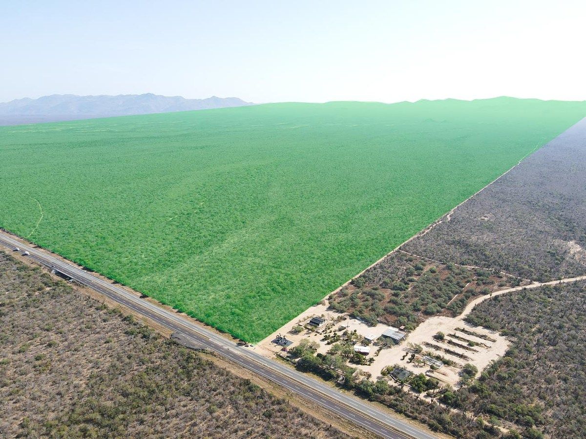 Lot in El Carrizal, La Paz, photo 5 of 6