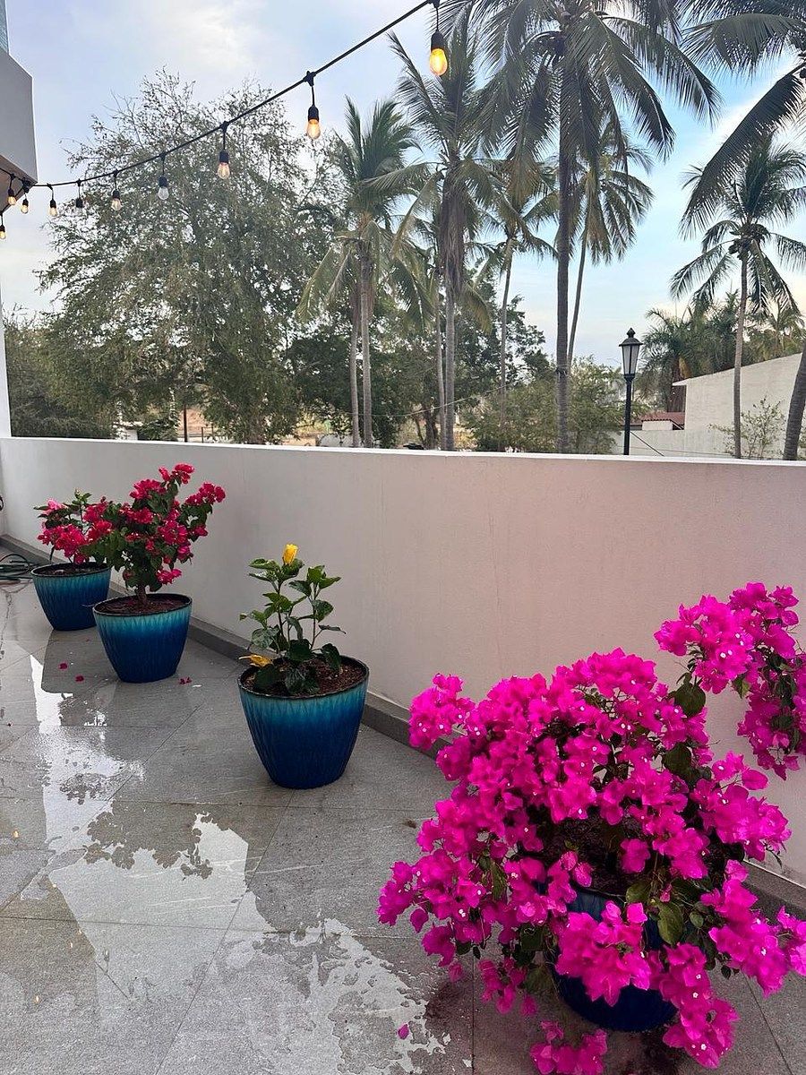19 of 20: Terraza exterior