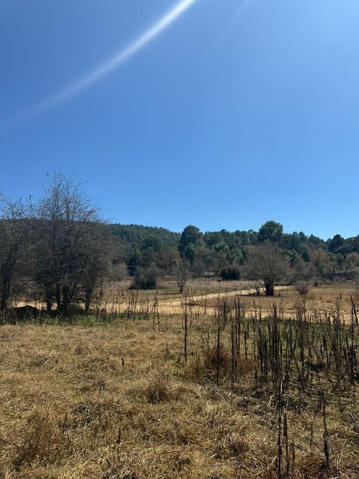 LAND FOR SALE, LOMAS DE CHIAPAS SUBDIVISION. - foto 2