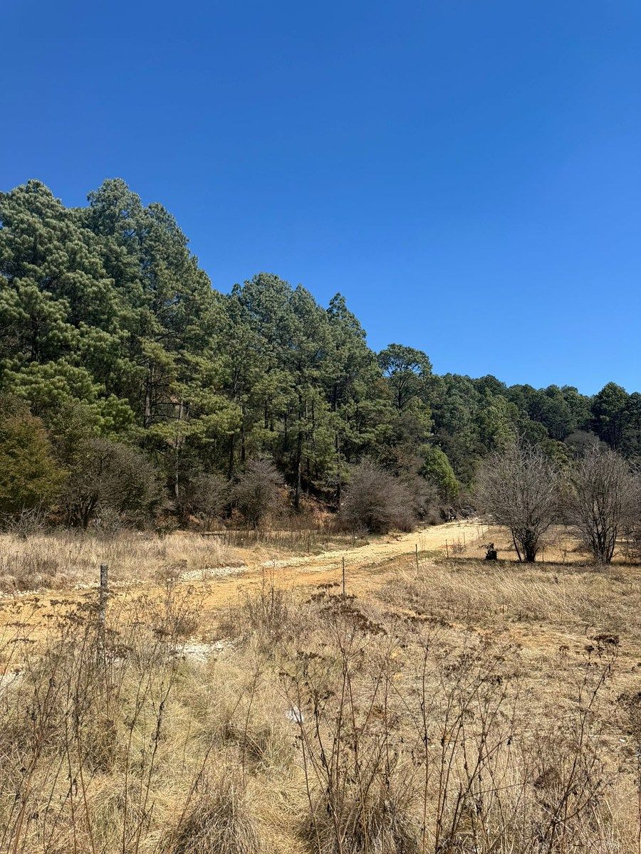 LAND FOR SALE, LOMAS DE CHIAPAS SUBDIVISION. - foto 4