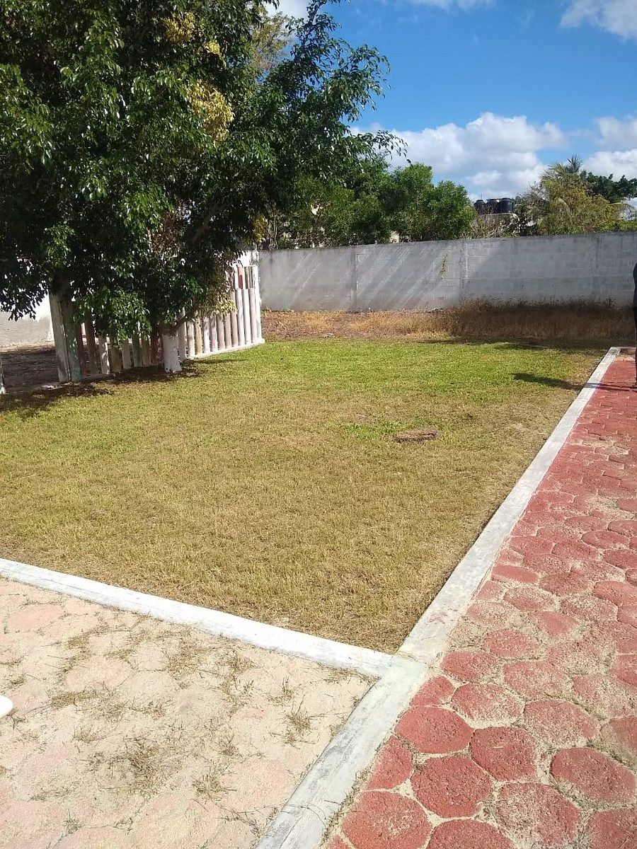 4 de 8