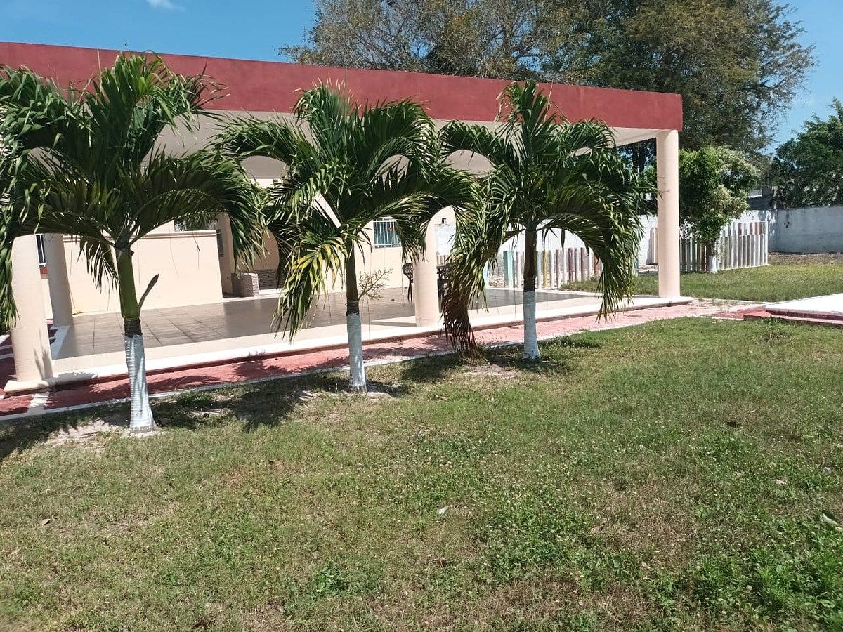 5 de 8