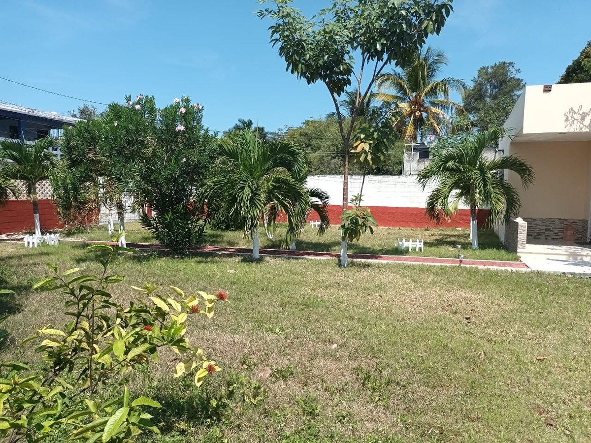 6 de 8