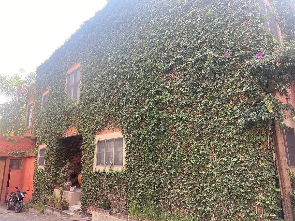 13 de 24