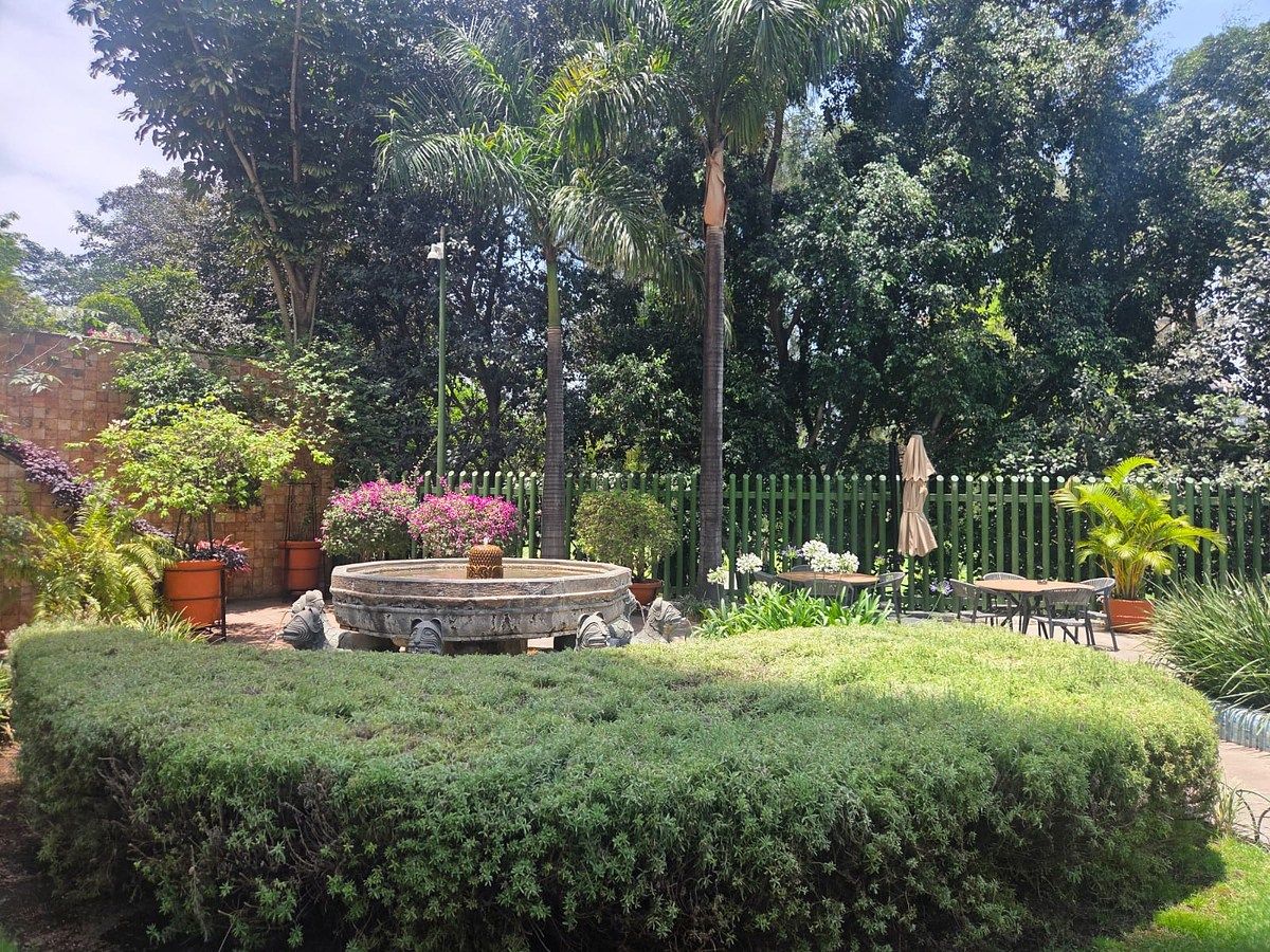 23 de 26: Jardines